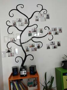 Centro de Estudo de Tavira - Galeria - O nosso espaço 