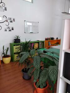 Centro de Estudo de Tavira - Galeria - O nosso espaço 