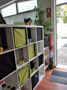 Centro de Estudo de Tavira - Galeria - O nosso espaço 